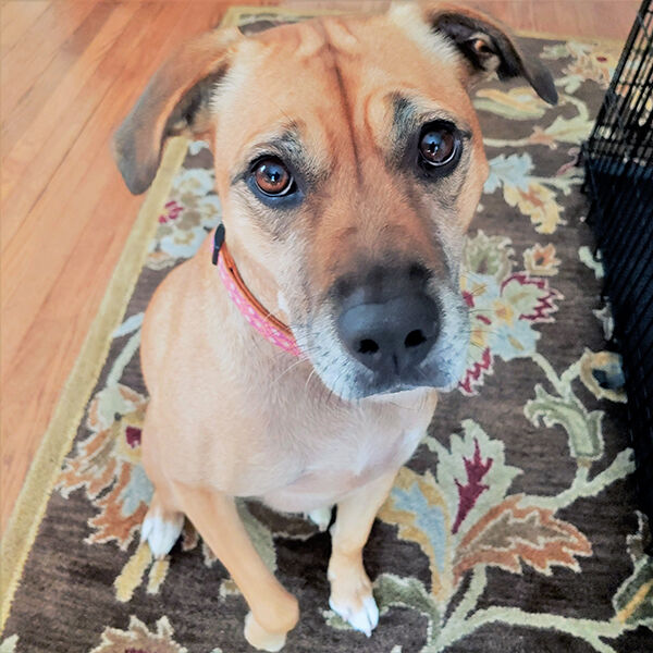 Ellie-100519